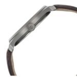 Titan Neo Economy Men Brown Dial Quartz - 1802QL02