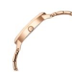 Titan Secluded Women Rose Gold Dial Quartz - 2707WM01