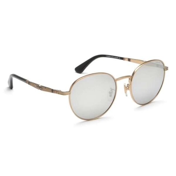Police Unisex Round Gold Sunglass - SPLE07K528FFXSG
