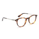 Police Men Oval Havana Eyeglass - VPLD93K50779FR