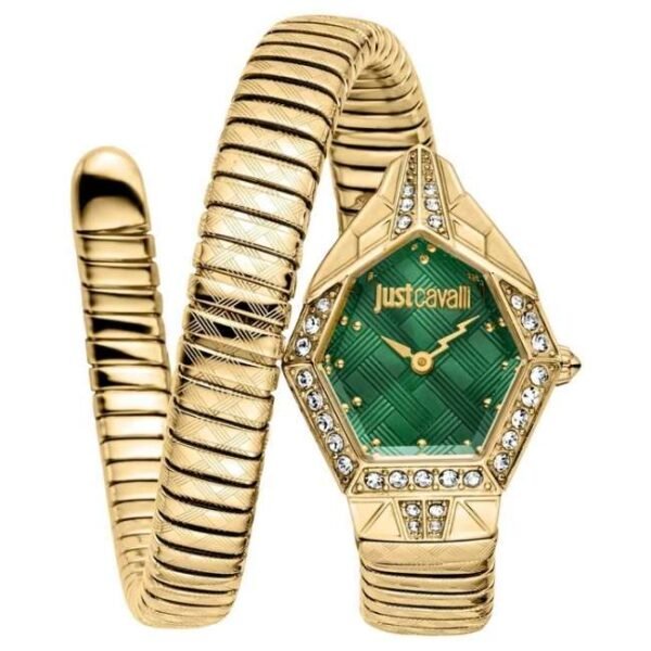 Just Cavalli Ornato Snake Women Green Dial Quartz Watch - JC1L303M0035