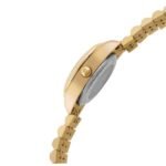 D'signer Green Dial Analog Women Watch - 521GM.16L