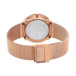 D'signer Analog Brown Dial Women's Watch 670RGM.9L