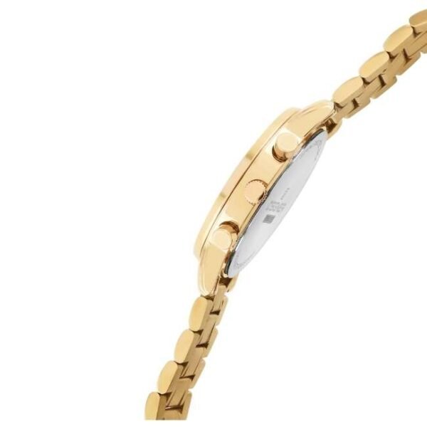 D'signer Analog Green Dial Multifunction Men's Watch 795GM.16G