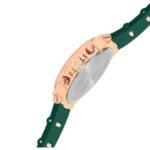 D'signer Analog Green Dial Multifunction Men's Watch 820RGFS.16G