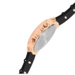 D'signer Analog Black Dial Multifunction Men's Watch 820RGFS.3G