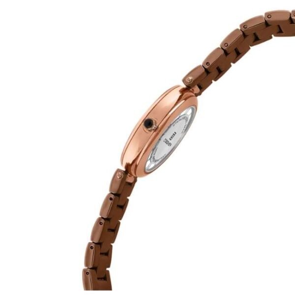 D'signer Analog Brown Sunray Dial Women's Watch 839RGBRNM.9L