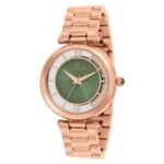 D'signer Analog Green Sunray Dial Women's Watch 839RGM.16L