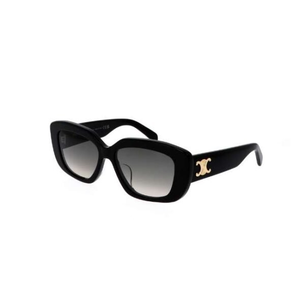 Celine Women Cat Eye Black Sunglasses - CL40216U 01F