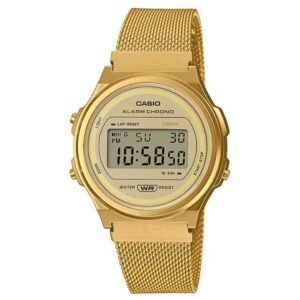 Casio Round Unisex Gold Watch D226