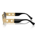 Versace Unisex Oval Shape Sunglasses | 0VE2264 10028756