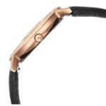 Titan 40 years Special Edition Men Silver Dial Quartz Watch - 10030WL01