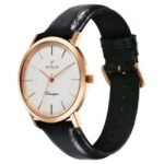 Titan 40 years Special Edition Men Silver Dial Quartz Watch - 10030WL01