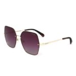 Polaroid Unisex Purple Lens Sunglasses - PLD 4091/S S9E 58JR