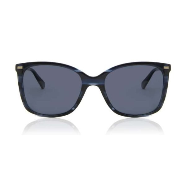 Polaroid Women Blue Lens Sunglasses - PLD 4108/S JBW 55C3