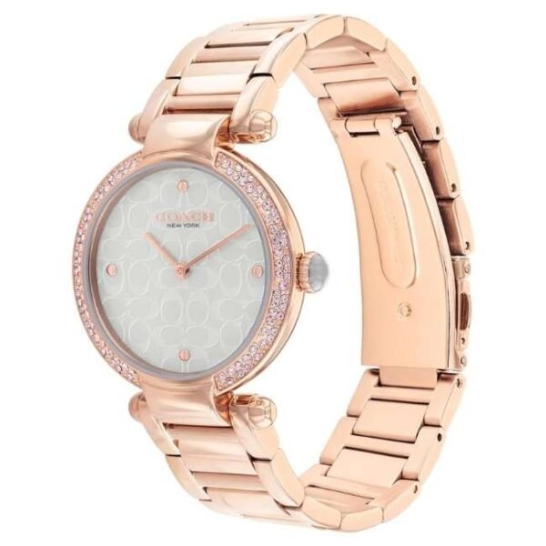 Coach Cary Women Grey Dial Quartz Watch - 14504184