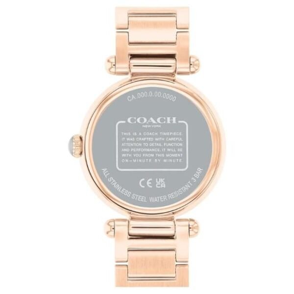 Coach Cary Women Grey Dial Quartz Watch - 14504184