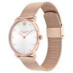 Coach Women Silver Dial Quartz Watch - 14504209