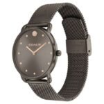 Coach Women Brown Dial Quartz Watch - 14504210