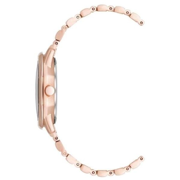 Anne Klien Quartz Women Watch AK5028MPRG