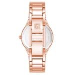 Anne Klien Quartz Women Watch AK5132SVRG