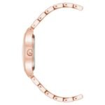 Anne Klien Quartz Women Watch AK5132SVRG