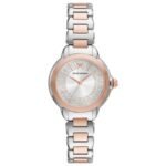 Emporio Armani Quartz Stainless Steel Women Watch AR11643