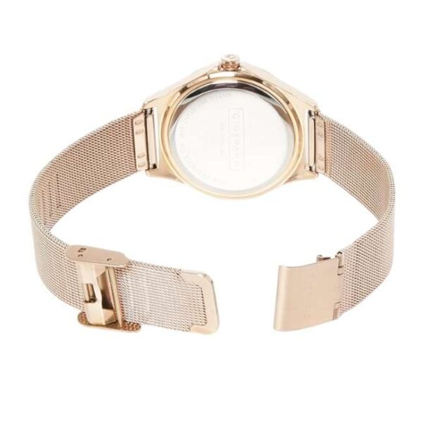 Giordano Womens Pink Dial Metallic Analogue Watch - Gd-2045-22