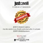 Just Cavalli Snake Women Green Dial Seiko Movement VJ20 Watch - JC1L264M0065