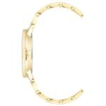 Anne Klien Quartz Women Watch NDAK3750BMGB