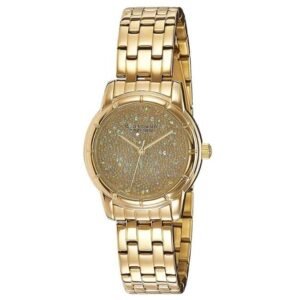 Giordano Analogue Women'S Watch - P2033
