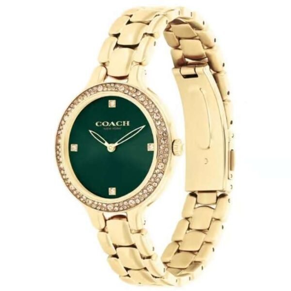 Coach Stainless Steel Gold Women Watch 14504251