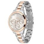 Boss Stainless Steel Silver Women Watch 1502564