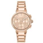 Boss Stainless Steel Gold Women Watch 1502678