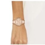 Boss Stainless Steel Gold Women Watch 1502678