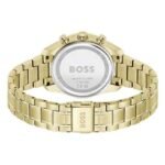 Boss Stainless Steel Brown Women Watch 1502770