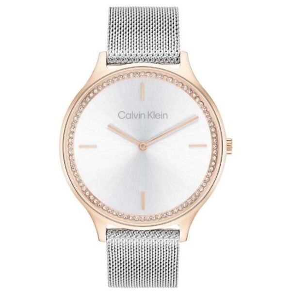 Calvin Klien Silver Stainless Steel Women Watch 25100006