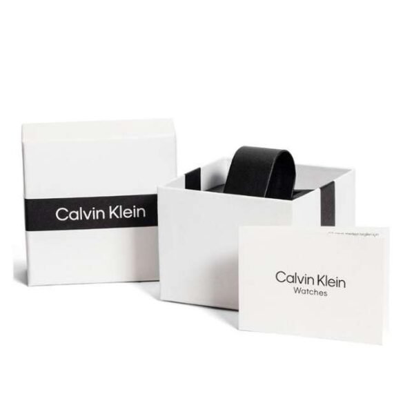 Calvin Klien Silver Stainless Steel Women Watch 25100006