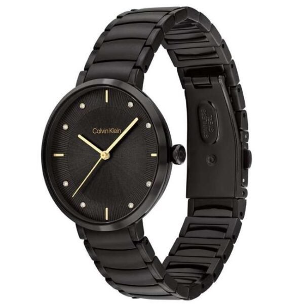 Calvin Klien Black Stainless Steel Women Watch 25100021