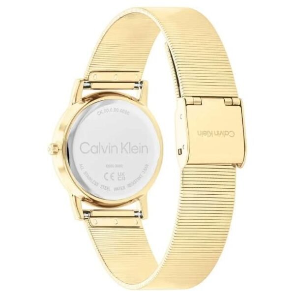 Calvin Klien Gold Stainless Steel Women Watch 25100035