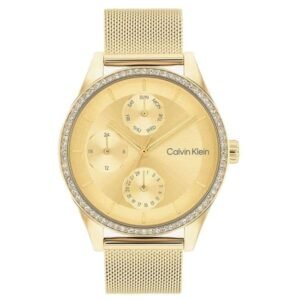 Calvin Klien Gold Stainless Steel Women Watch 25100111