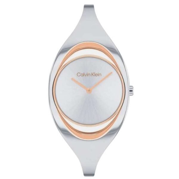 Calvin Klien Multicoloured Stainless Steel Women Watch 25200393