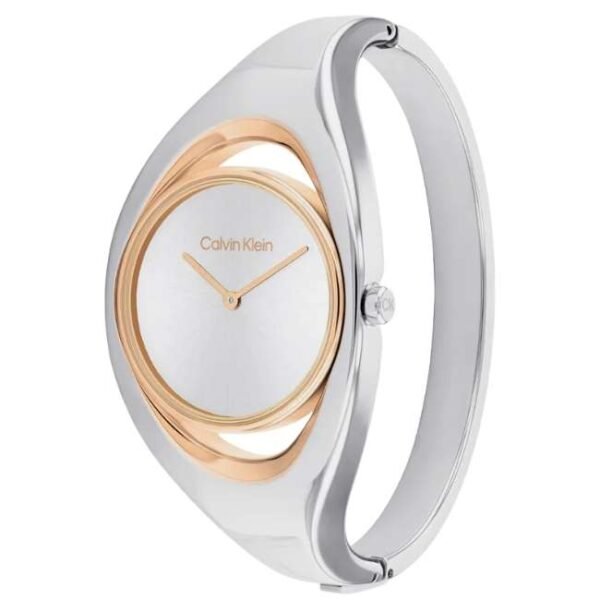 Calvin Klien Multicoloured Stainless Steel Women Watch 25200393