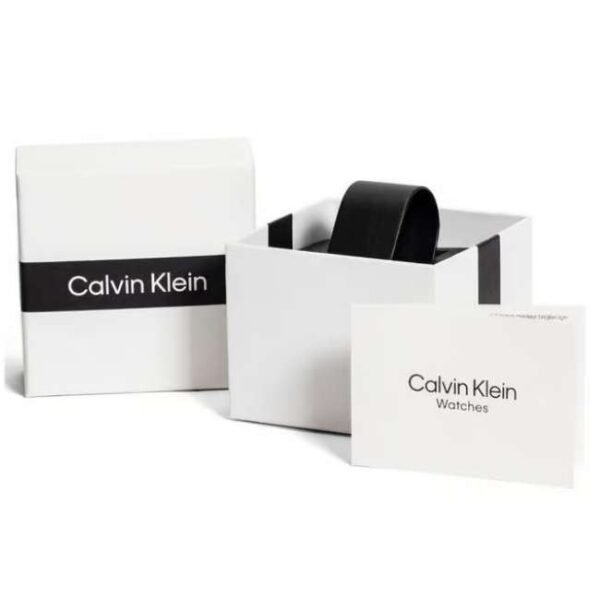 Calvin Klien Silver Stainless Steel Men Watch 25200479
