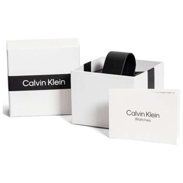 Calvin Klien Blue Stainless Steel Unisex  Watch 25300026