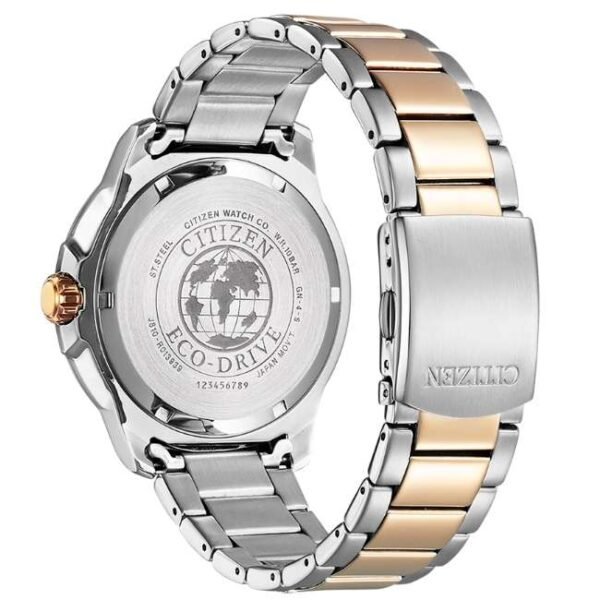 Citizen Stainless Steel Two Toned Men Watch AW1524-84E