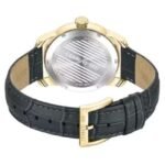 Cerruti Stainless Steel Black Men Watch CECIWGB0042702