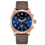 Cerruti Stainless Steel Brown Men Watch CECIWGF0042501
