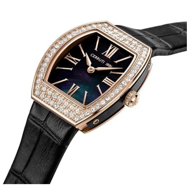 Cerruti Leather Black Women Watch CECIWLA0043402