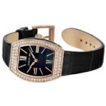 Cerruti Leather Black Women Watch CECIWLA0043402